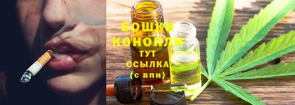 дмт Аркадак