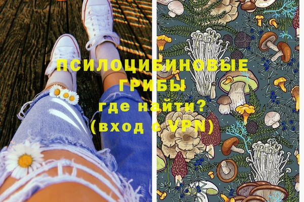 дмт Аркадак