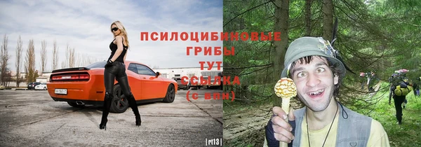 меф Арсеньев