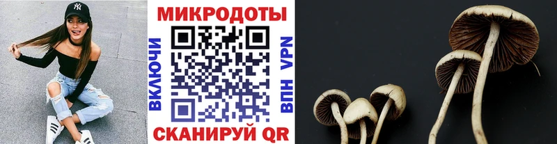 ОМГ ОМГ как зайти  маркетплейс клад  Псилоцибиновые грибы GOLDEN TEACHER  Шахунья 
